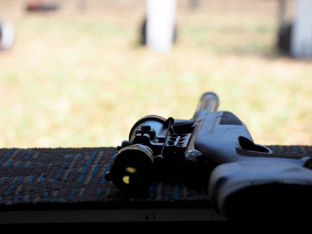 ruger1020.ca