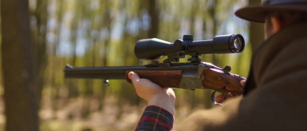 ruger 10/22