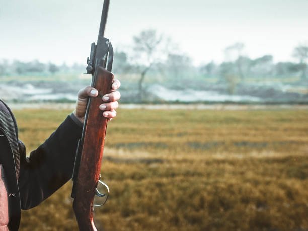 ruger1020.ca