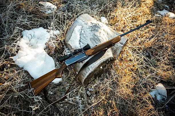 ruger1020.ca