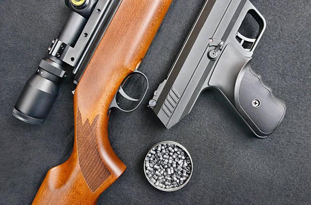 ruger1020.ca