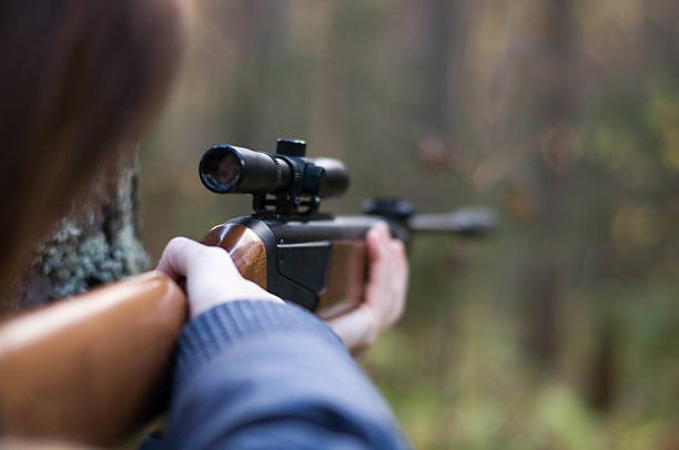 ruger1020.ca